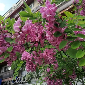 Apartament Pulawska 53, Warszawa